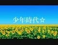 2024年11月24日 (日) 11:26版本的缩略图