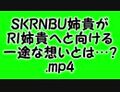 2024年11月9日 (六) 15:47版本的缩略图