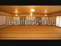 2024年11月22日 (五) 14:05版本的缩略图